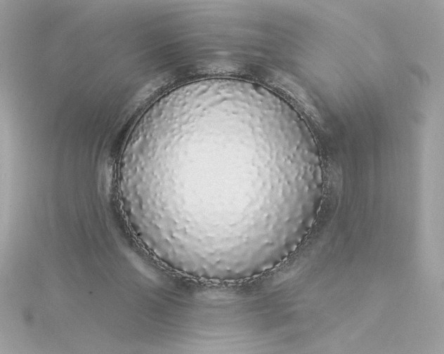 X0000116040110200912041820