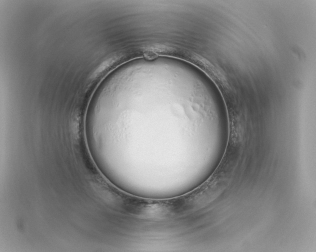 X0000116040111200912041820