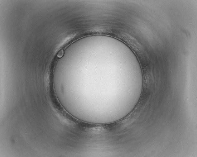 X0000116040112200912041820