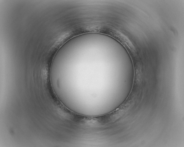 X0000116040113200912041820