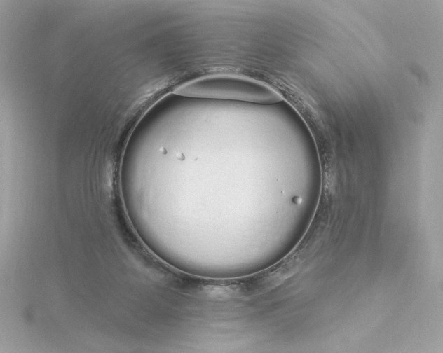 X0000116040115200912041820