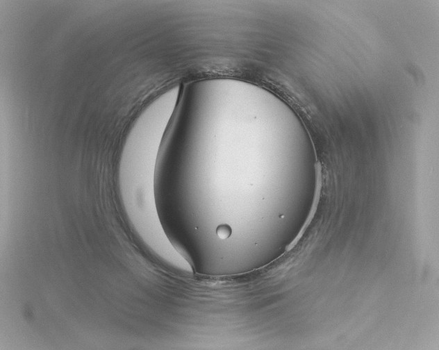 X0000116040117200912041820