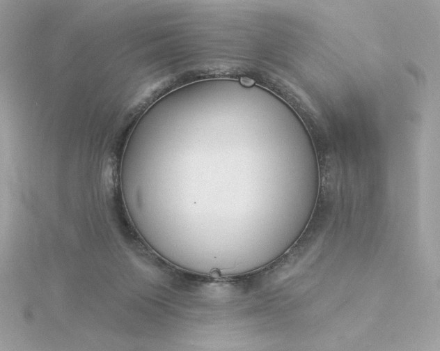 X0000116040119200912041820