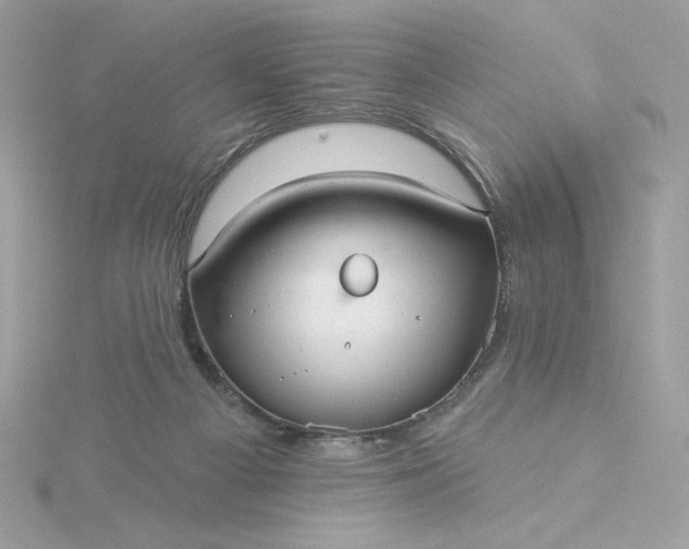 X0000116040121200912041820