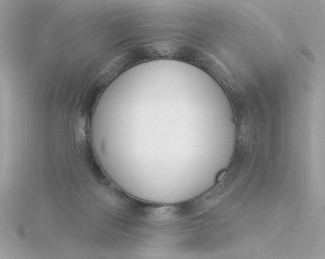 X0000116040122200912041820