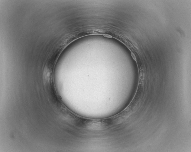 X0000116040123200912041820