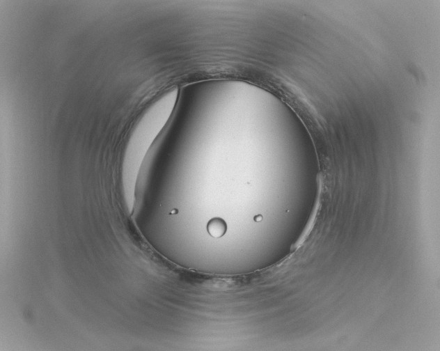 X0000116040124200912041820