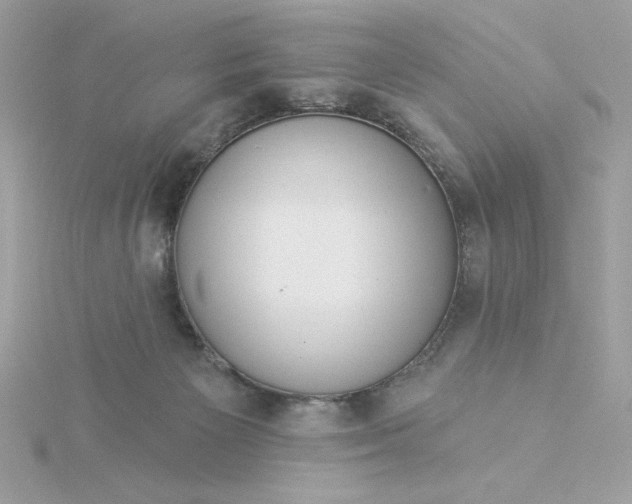 X0000116040125200912041820