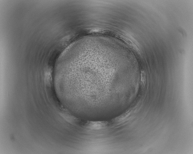 X0000116040127200912041820