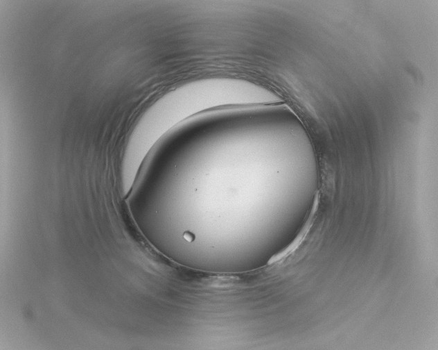 X0000116040128200912041820