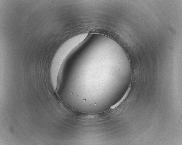 X0000116040129200912041820