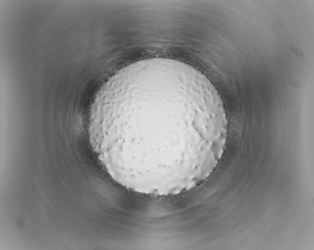 X0000116040130200912041820