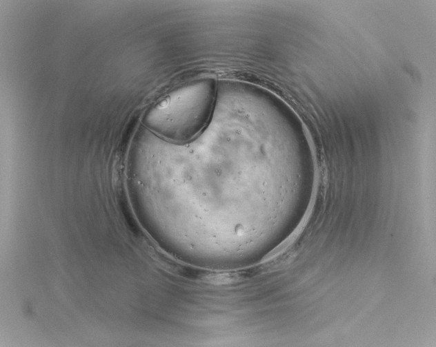 X0000116040131200912041820