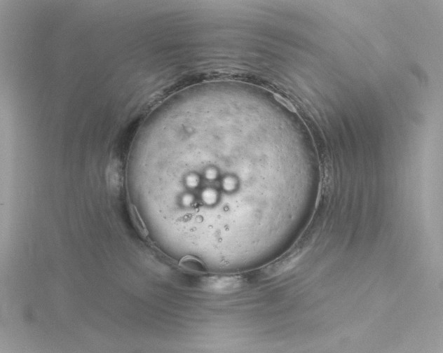 X0000116040135200912041820