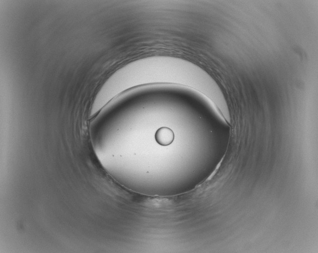 X0000116040137200912041820