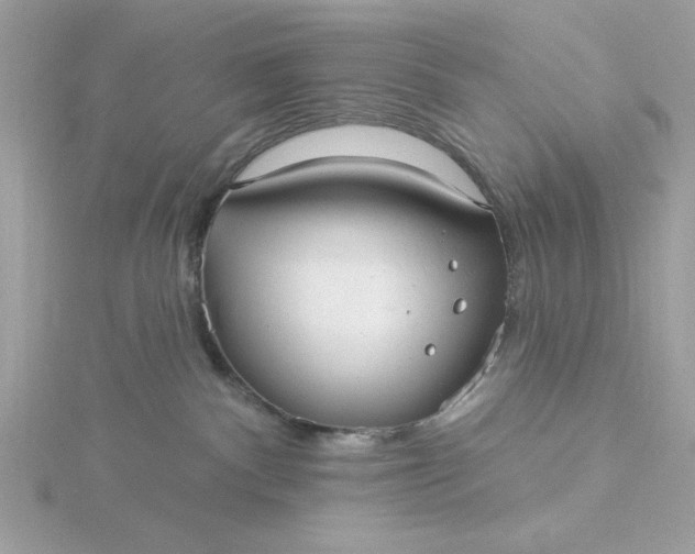 X0000116040140200912041820