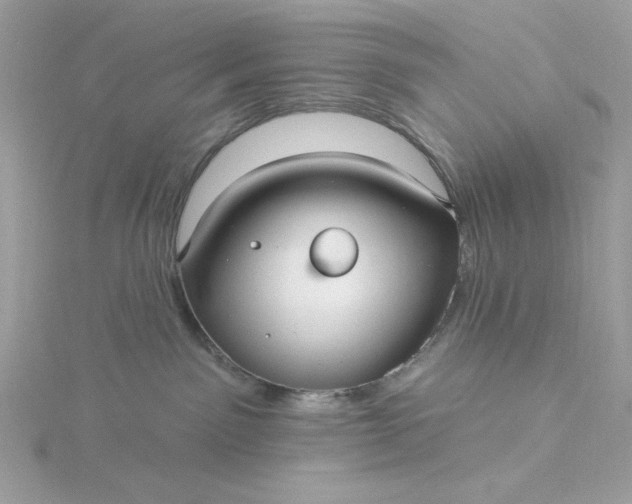 X0000116040141200912041820