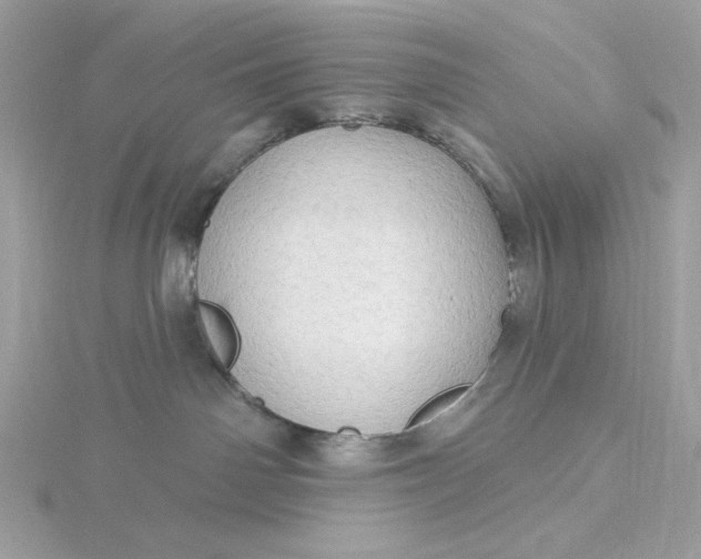 X0000116040142200912041820