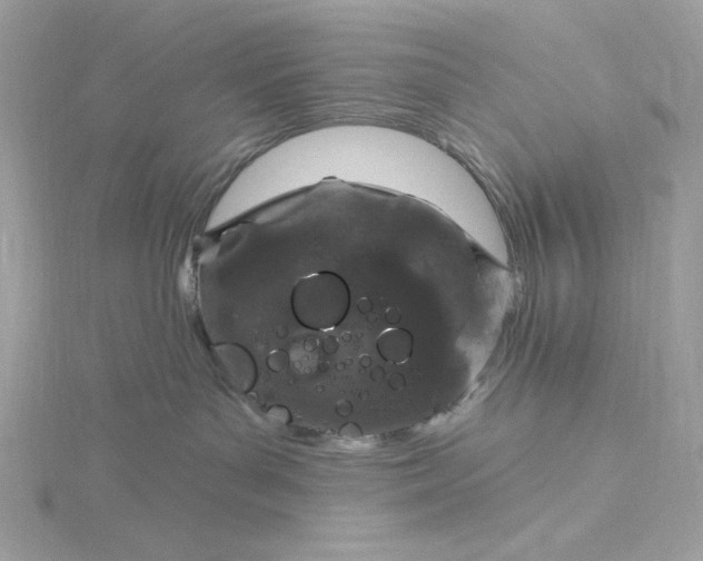 X0000116040143200912041820