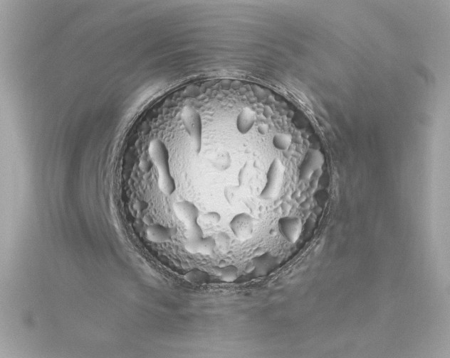 X0000116040145200912041819