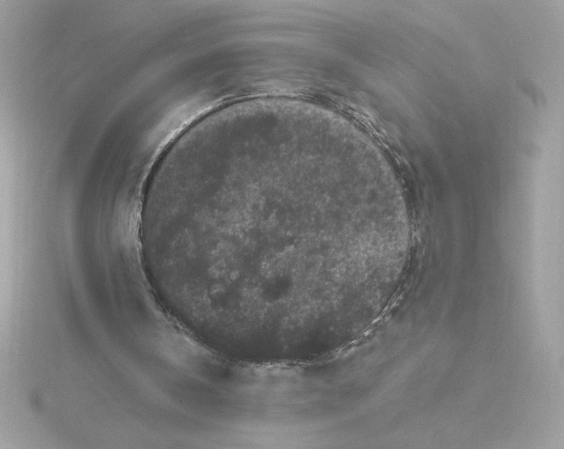 X0000116040146200912041819