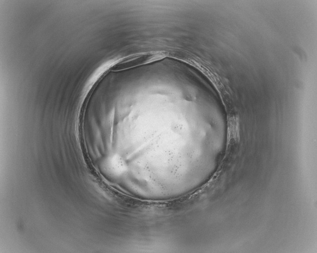 X0000116040147200912041819