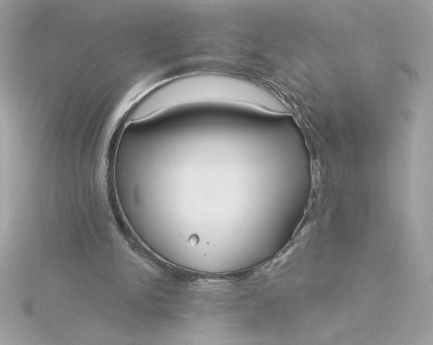 X0000116040150200912041819