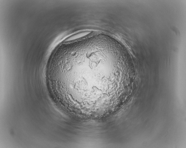 X0000116040151200912041819