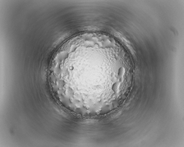 X0000116040153200912041819