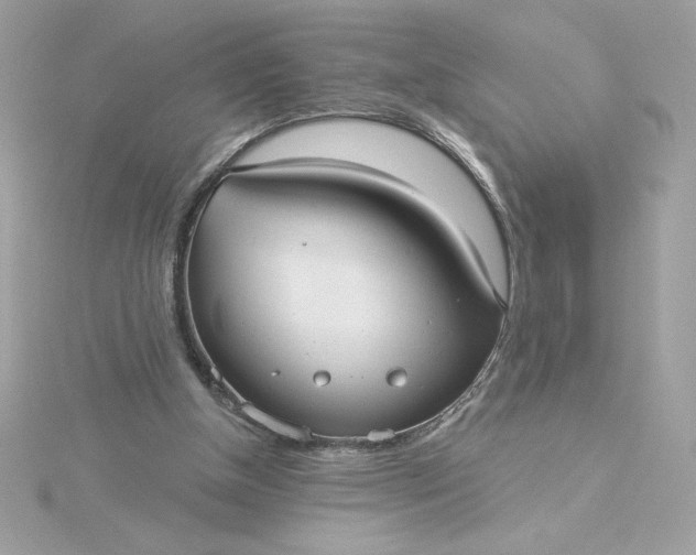 X0000116040154200912041819