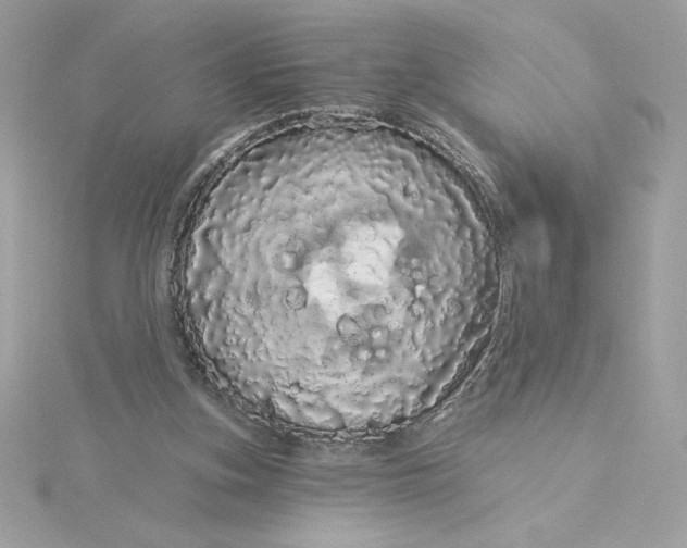 X0000116040155200912041819