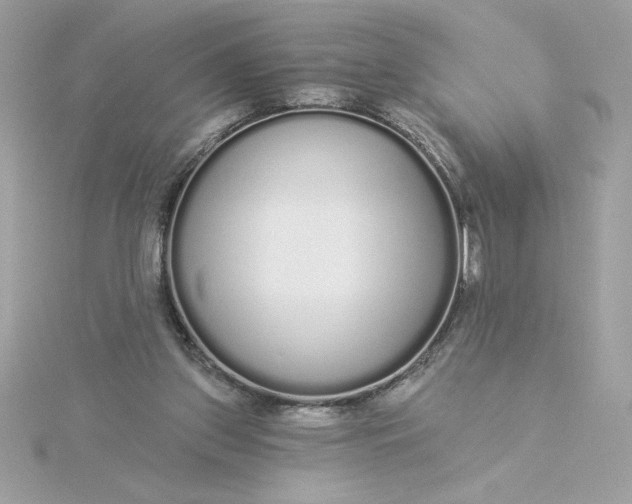 X0000116040157200912041819