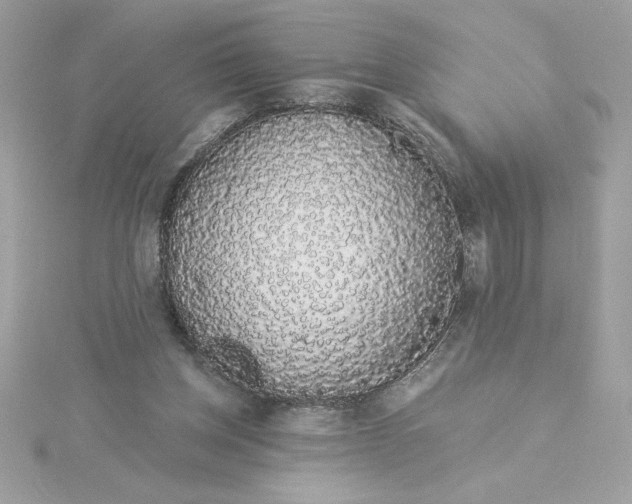 X0000116040158200912041819