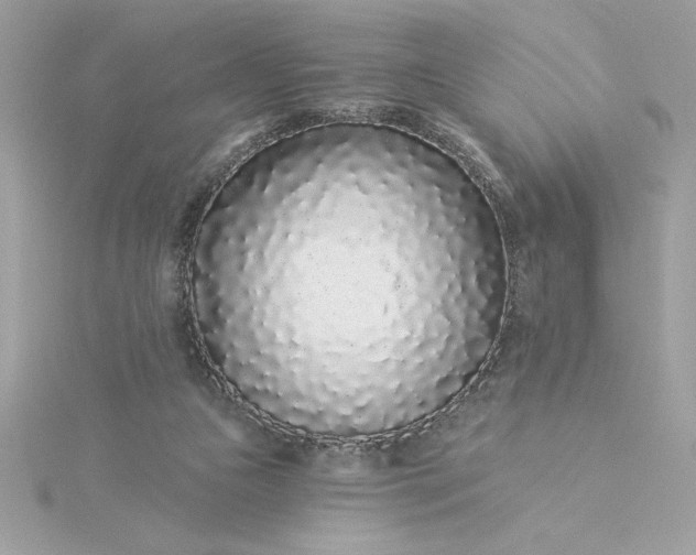 X0000116040161200912041819