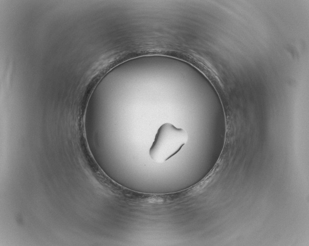 X0000116040162200912041819