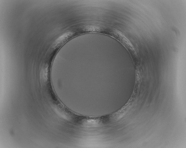 X0000116040163200912041819