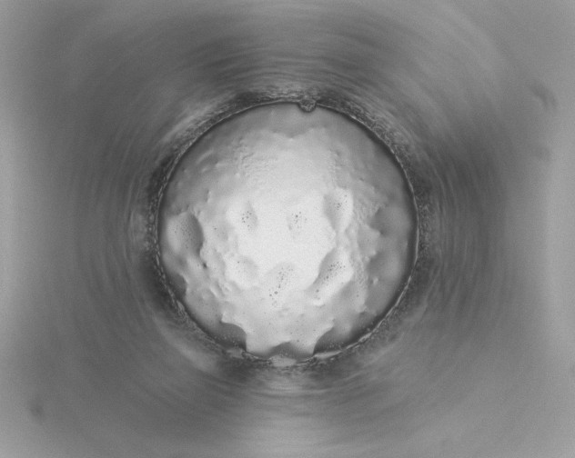 X0000116040165200912041819