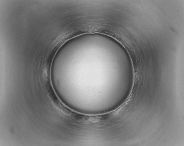 X0000116040166200912041819