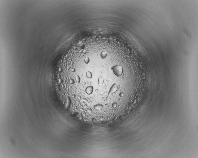 X0000116040169200912041819