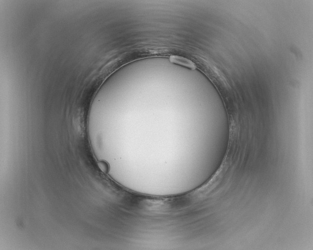 X0000116040170200912041819