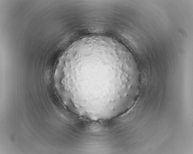 X0000116040171200912041819