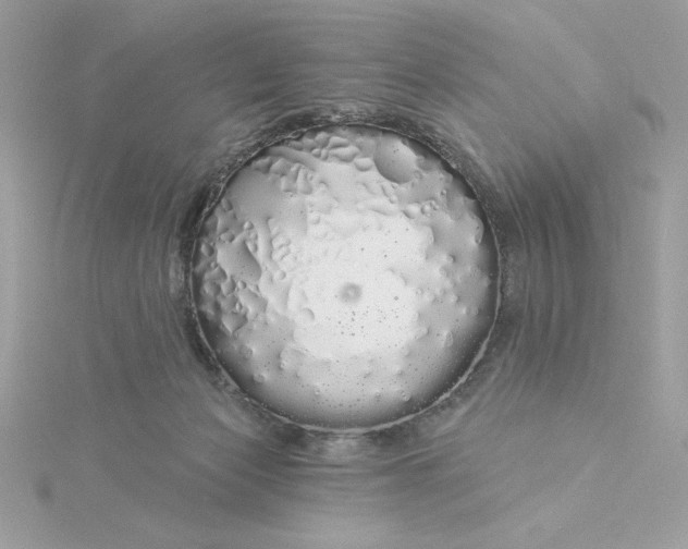 X0000116040173200912041819