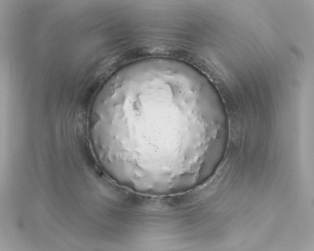 X0000116040175200912041819