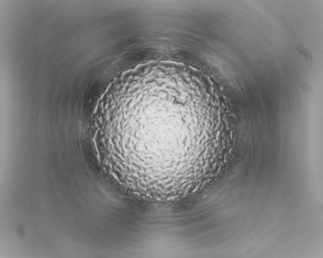 X0000116040177200912041819