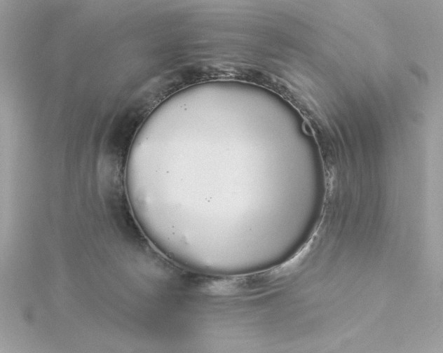 X0000116040178200912041819