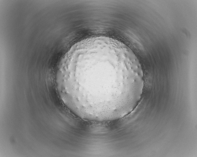 X0000116040179200912041819