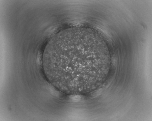 X0000116040181200912041819