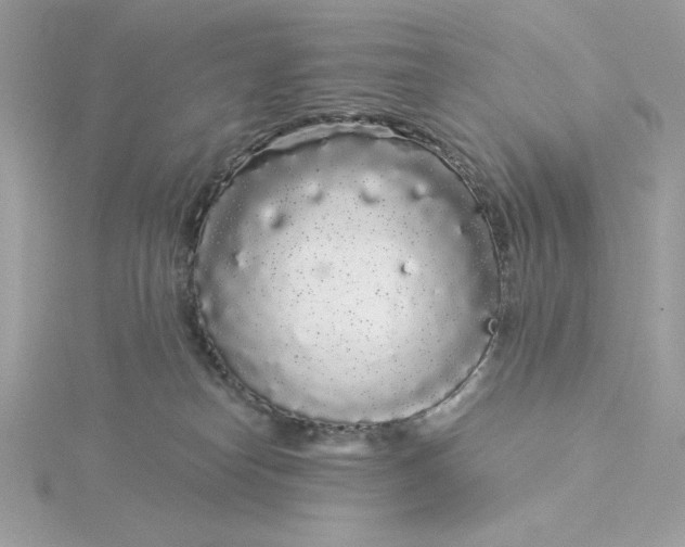 X0000116040182200912041819