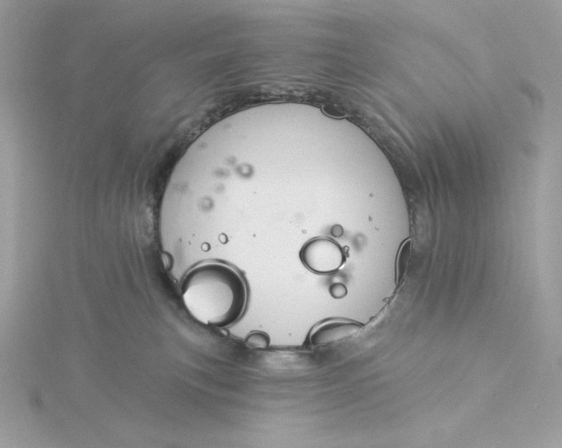 X0000116040183200912041819