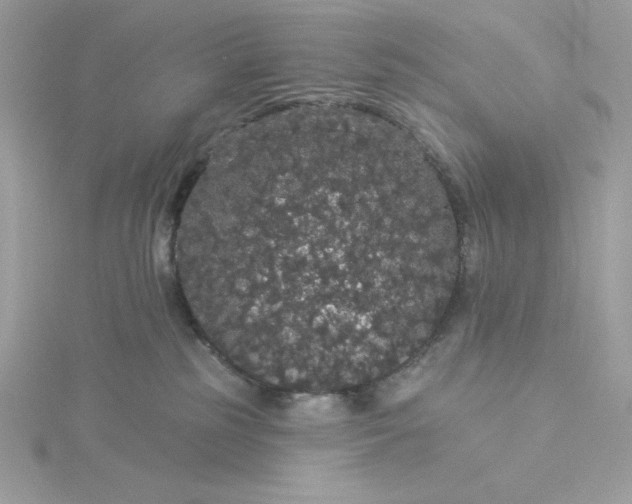 X0000116040185200912041819